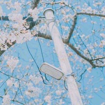 妖怪正传果盘版下载