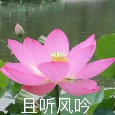 战棋时代破解版下载